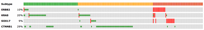 Oncoprint with clinical track
