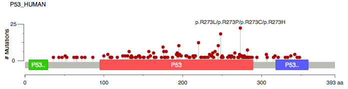 TP53 Mutations in Ovarian Cancer